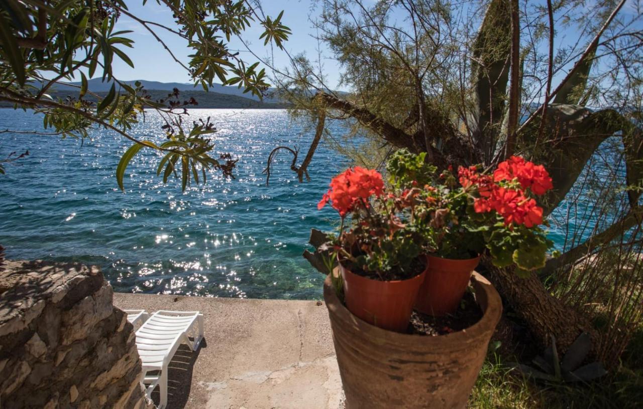 Apartmani Nikoletic Klek Extérieur photo